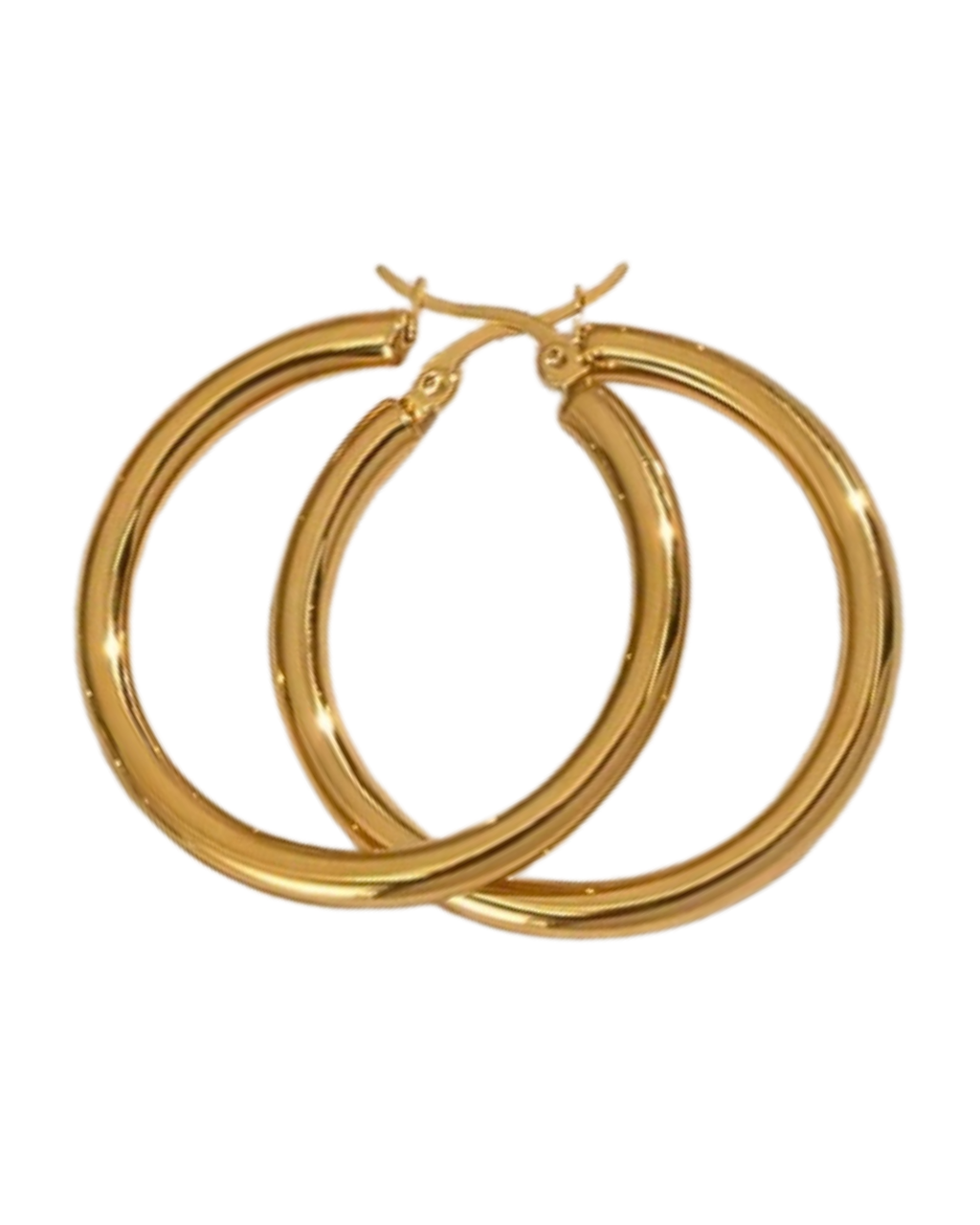 Francesca Hoops