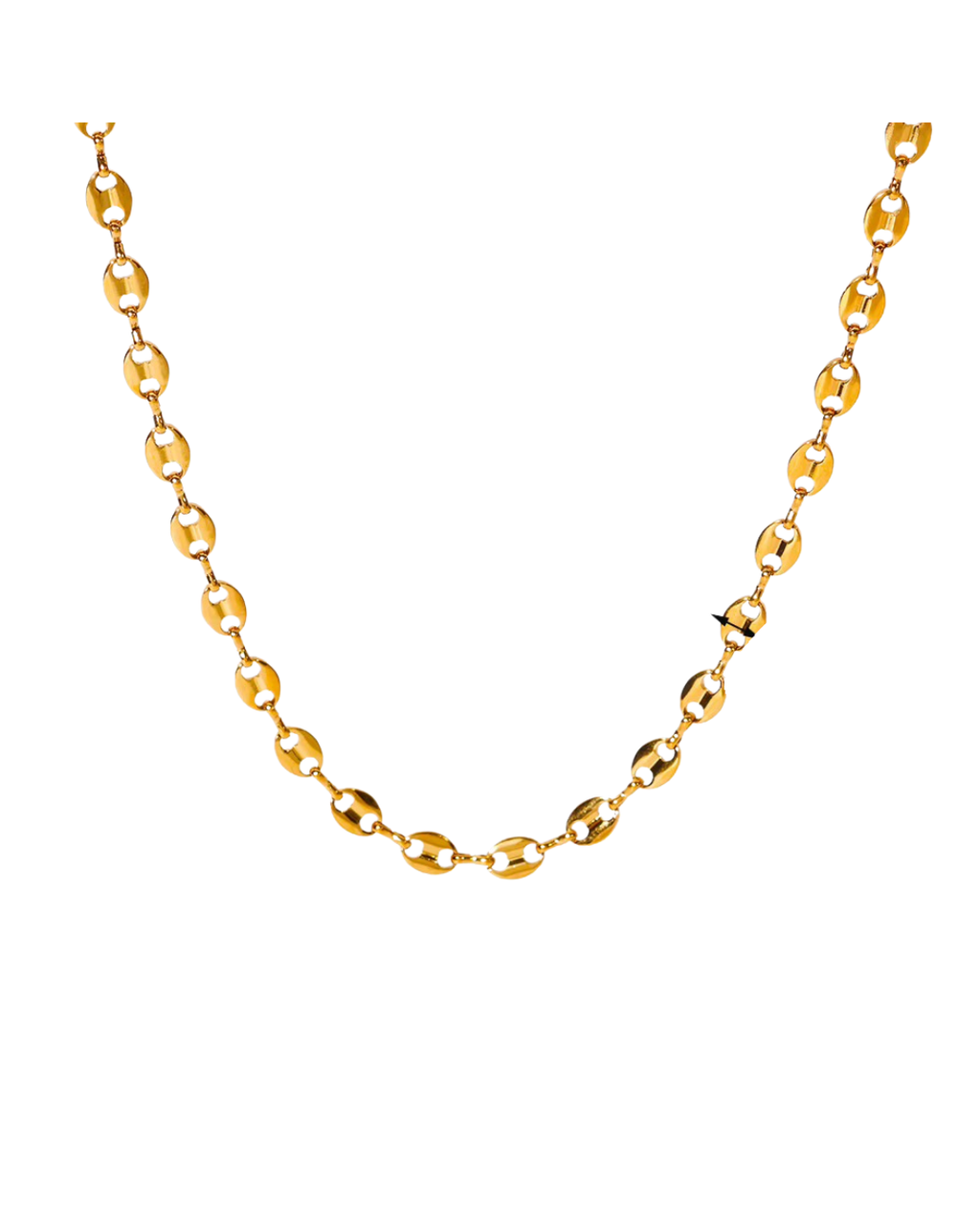 Zuri Link Necklace