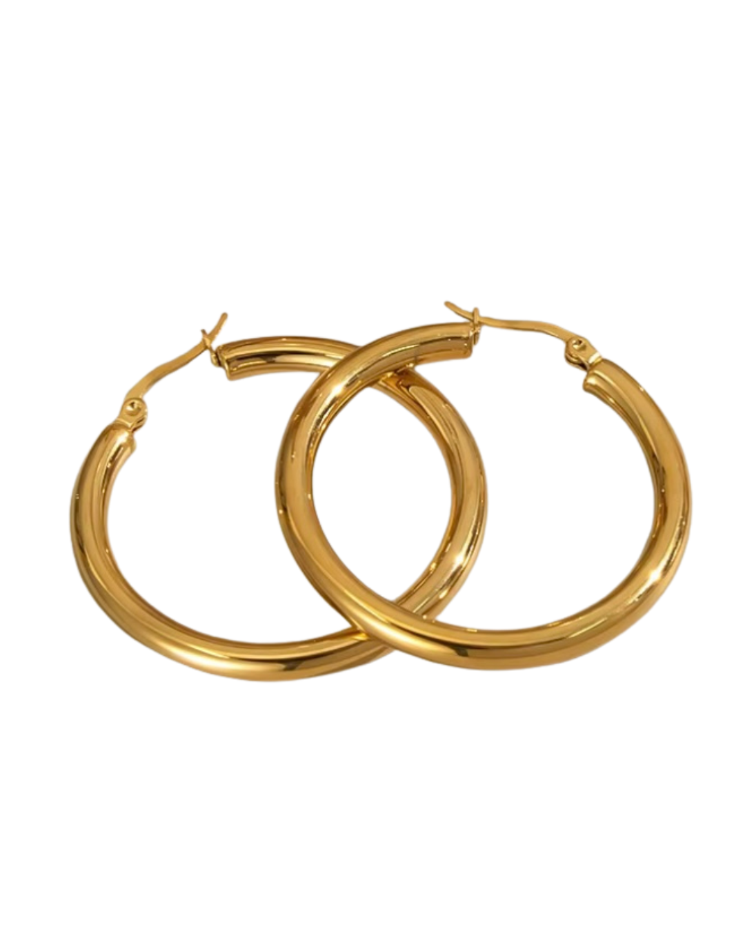 Francesca Hoops