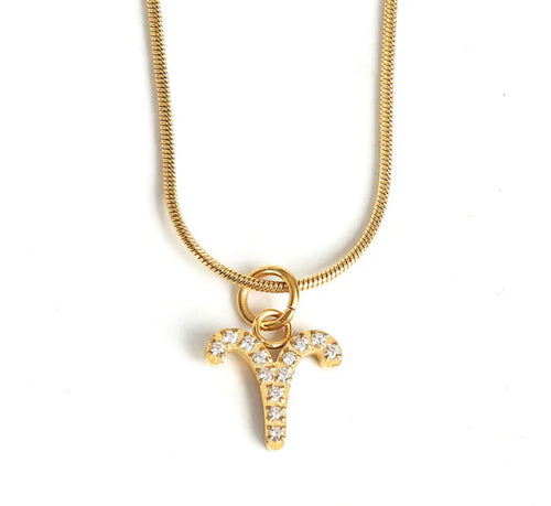 Birth Sign Dainty Necklace